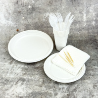 Набор: "ШАШЛЫЧНЫЙ №3" (6 персон: вилка+нож+тарелкаD165+тарелкаD205+стакан200мл+салф+зубочис) 