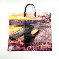 Пакет с пластмассовой ручкой 35х38см (90) Дунай 10шт