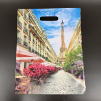 Пакет ВР(вырубная ручка) ПВД 31х40см (60) Париж 50шт 