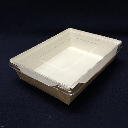 Упаковка ECO OpSalad-1000 салатник с прозр. КРЫШКОЙ 1000мл 50шт 200х140х55 