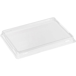 Упаковка OSQ КРЫШКА для OpSalad-500 50шт 140х105 