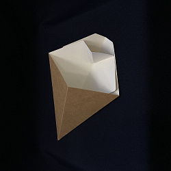 Упаковка ECO CONE-L конус для фри с соусником 40шт 300мл ... Упаковка ECO CONE-L конус для фри с соусником 40шт 300мл ...