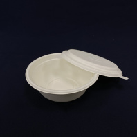 Тарелка БИО сахарный тростник СУПОВАЯ + КРЫШКА 500мл БЕЛАЯ 125шт D=155мм, H=58 TaMbien 