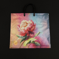 Пакет ПР(пластмассовая ручка) 35х38см (90) Сандра 10шт 