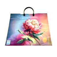 Пакет с пластмассовой ручкой 35х38см (90) В АССОРТИМЕНТЕ 1шт