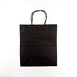 Пакет бум. прямоуг. дно с круч.ручк. ЧЁРНЫЙ 280х240х140 2...