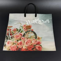 Пакет ПР(пластмассовая ручка) 35х38см (90) Счастливый день 10шт 