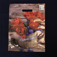 Пакет с вырубной ручкой ПВД 31х40см (60) Элисон 50шт