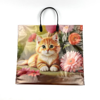 Пакет с пластмассовой ручкой 35х38см (90) Рыжий котёнок 10шт