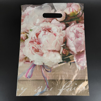 Пакет ВР(вырубная ручка) ПСД 29х40см (35) Бенефис 50шт 