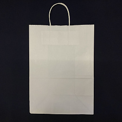 Пакет бум. прямоуг. дно с круч.ручк. БЕЛЫЙ 350х260х150 25...