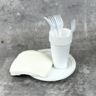 Набор: "ЛЕТНИЙ №1" (6 персон: вилка+тарелкаD170+стакан200мл+салф) 