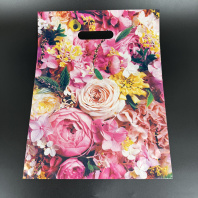 Пакет ВР(вырубная ручка) ПВД 31х40см (60) Элизабет 50шт 