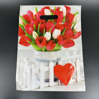 Пакет ВР(вырубная ручка) ПВД 31х40см (60) Белиция 50шт 