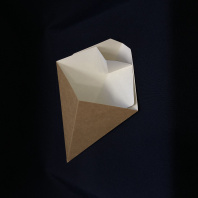 Упаковка ECO CONE-L конус для фри с соусником 40шт 300мл 200х115 